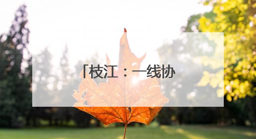 枝江：一线协商助力打造公园童趣新空间